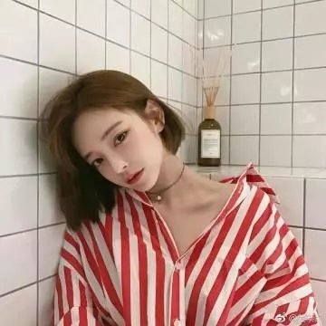 与鲨同游